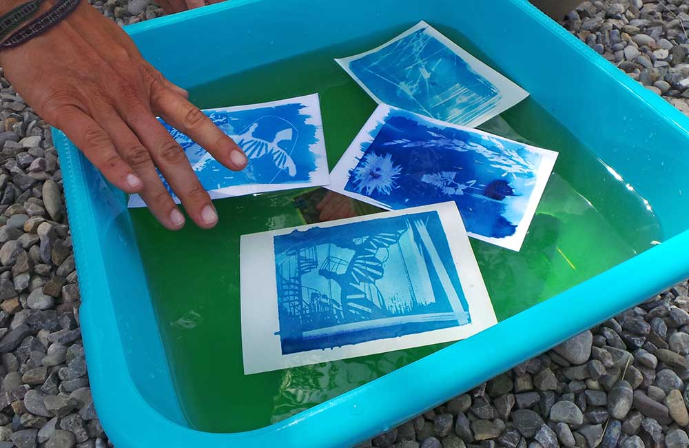 Hand platziert blaue Cyanotypie-Fotografien in einem blauen Behälter mit grünem Wasser auf Kiesboden.
