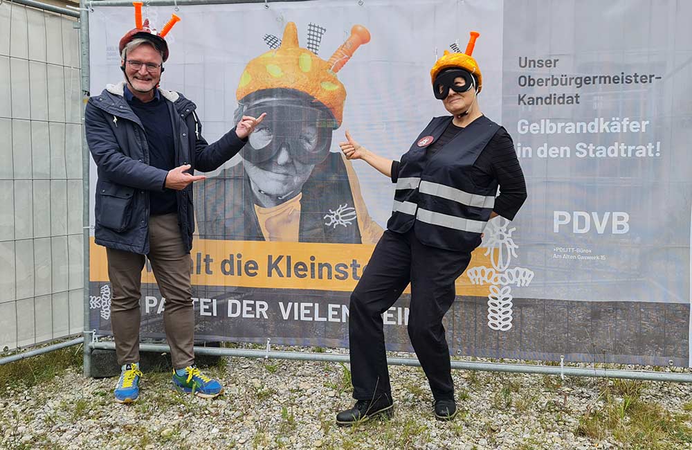 Maximal blöd gelaufen